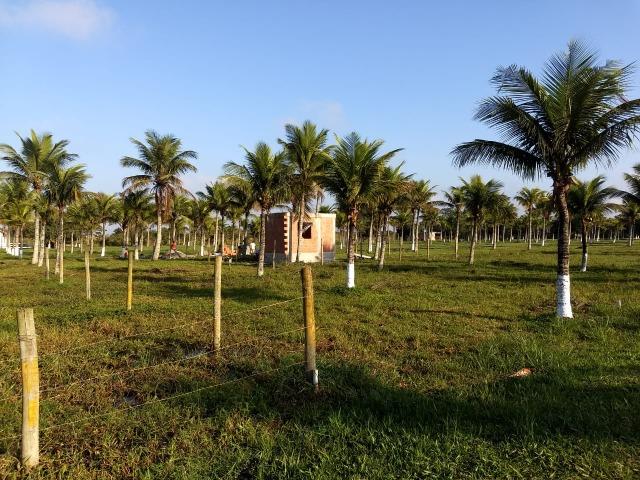 * Terrenos Próximo ao Trevo de Búzios. - Foto 9