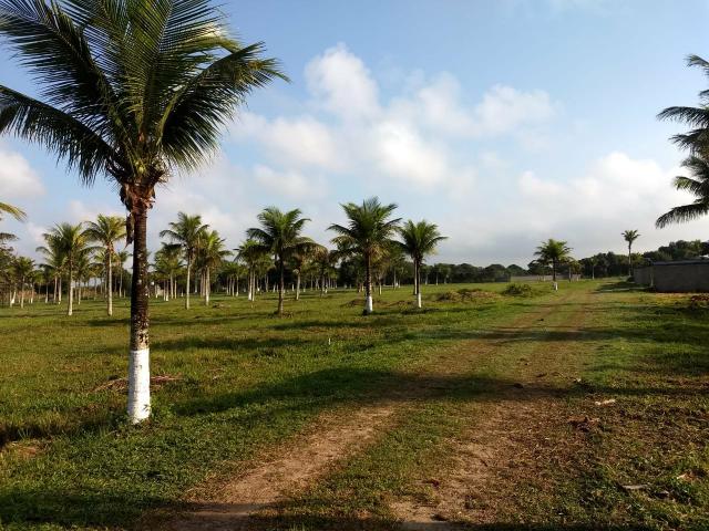 Jô - 180m²