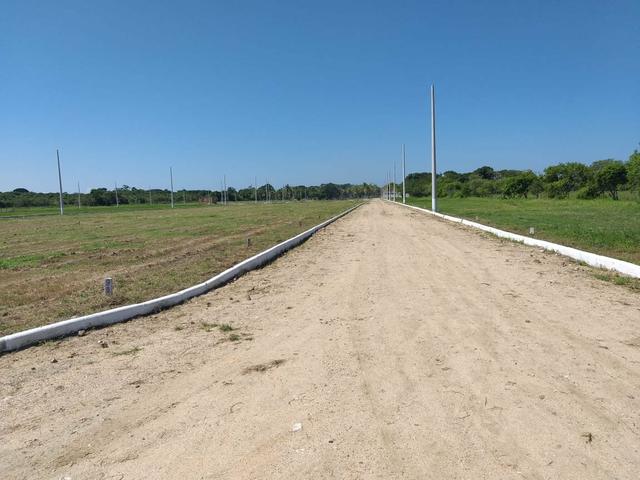 Jô - Loteamento padrão - Foto 2