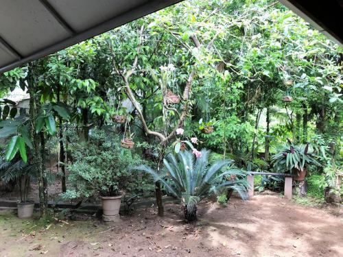 Casa à venda, 3 quartos, 1 suíte, 1 vaga, vila baependi - jaraguá do sul/sc - Foto 3