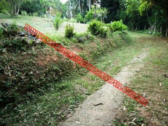 Chácara à venda em Embu mirim, Itapecerica da serra cod:4571 - Foto 4
