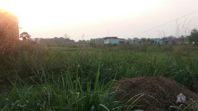 Vendo este terreno no vila acre - Foto 3