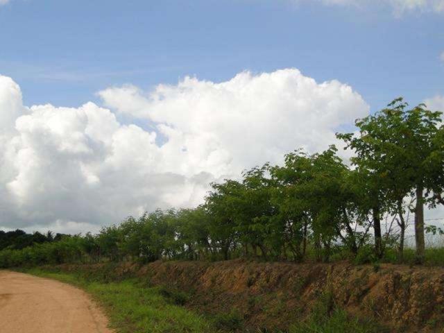 Maravilhosa oportunidade fazenda em maragogipe 120ta - Foto 20