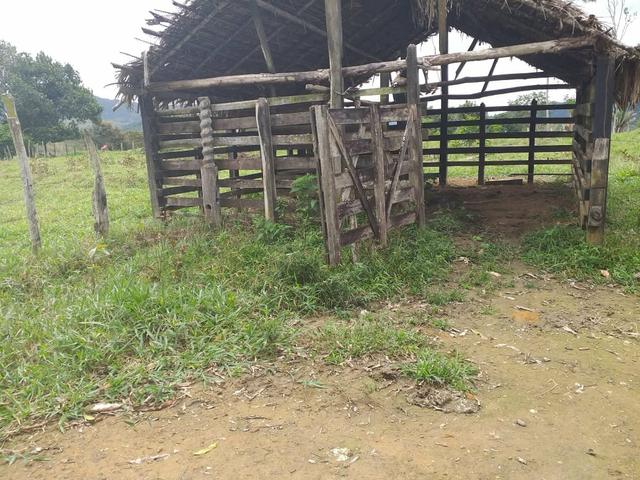Vendo sitio em Apuarema ba - Foto 5