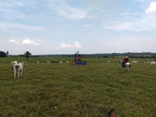 Sítio à venda, por R$ 2.775.000 - Zona Rural - Teixeirópolis/RO