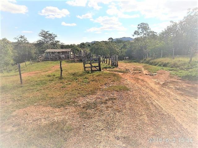 Fazenda com 25 alqueires com casa sede casa de caseiro Niquelândia goiás - Foto 12