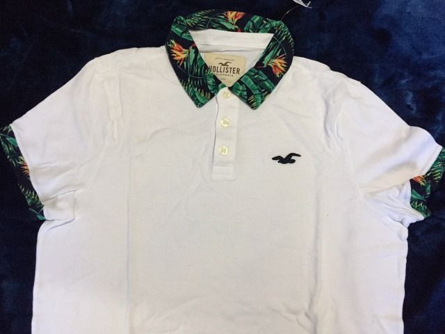 polo hollister original