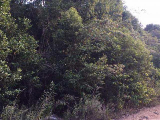 Terreno à venda em Trancoso, Porto seguro cod:J49351 - Foto 3