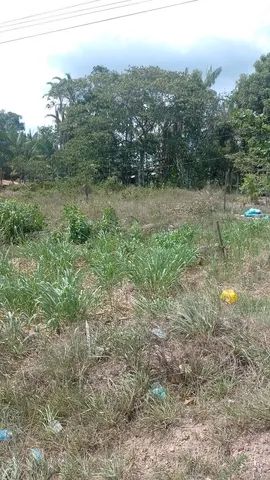 Vendo terreno na alça viária - Foto 3
