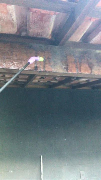 Dedetização  - Foto 5