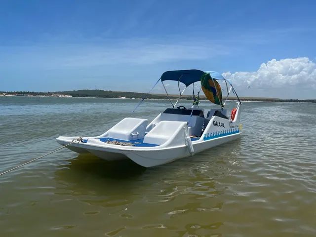 Jangada Flypper Motor 60hp todo revisado, com trim. - Foto 5