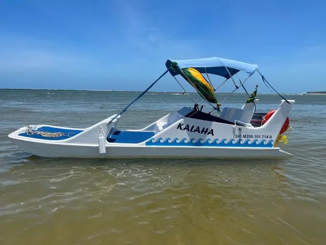 Jangada Flypper Motor 60hp todo revisado, com trim. - Foto 6