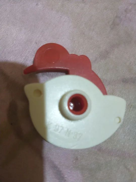 Gato risonho - Foto 6