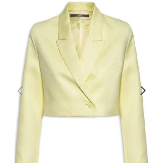 Blaizer feminino cropped chá verde Animale 