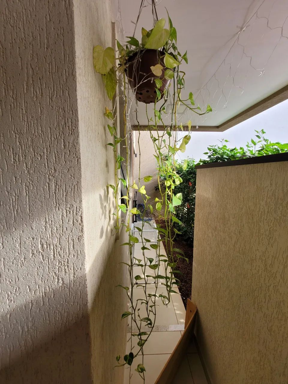 Apartamento Jardim Botânico - Foto 4