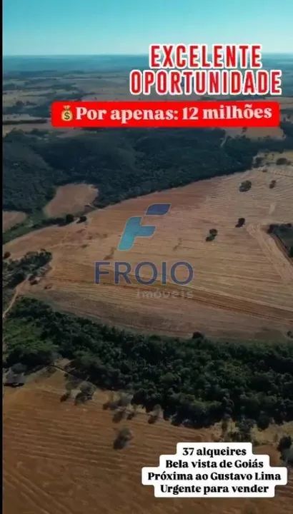 Venda Fazenda a 39 km de Goiânia  Bela Vista de Goiás