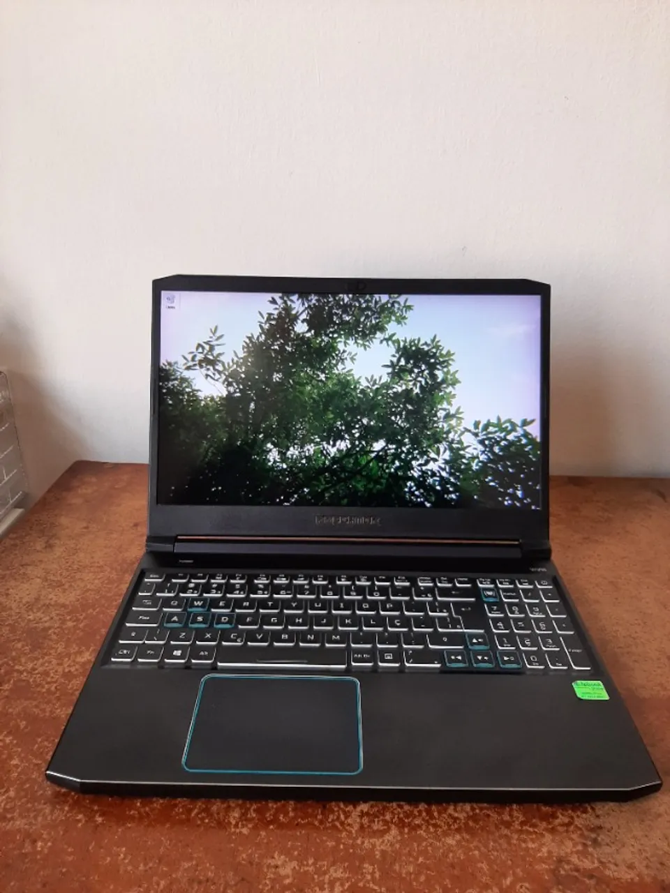 Notebook Gamer Acer Predator Helios 300
