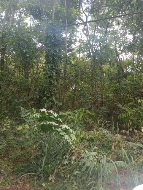 Chácara para venda com 2.257 metros quadrados - Rua Jandaia, Chácaras de Recreio Samambaia - Foto 5