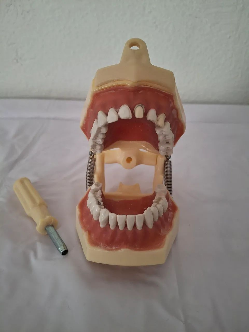 Manequim Odontológico Dent-art para Dentística - Foto 2