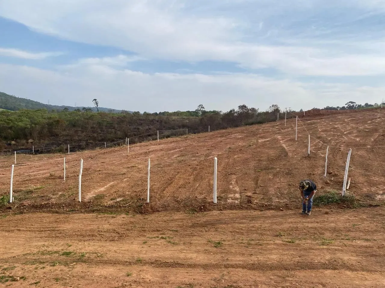 Os melhores lotes você encontra aqui (Caucaia do Alto) - Cotia - SP