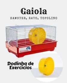 Gaiola Hamster Roborovski Chinês Topolino Minizinha _ PET04