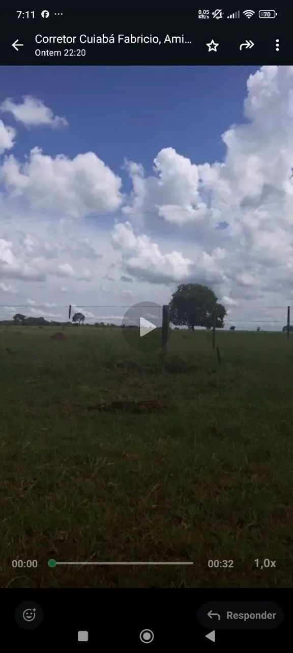 Fazenda arrendamento 4 mil hec em nova alvorada sim MS. - Foto 4