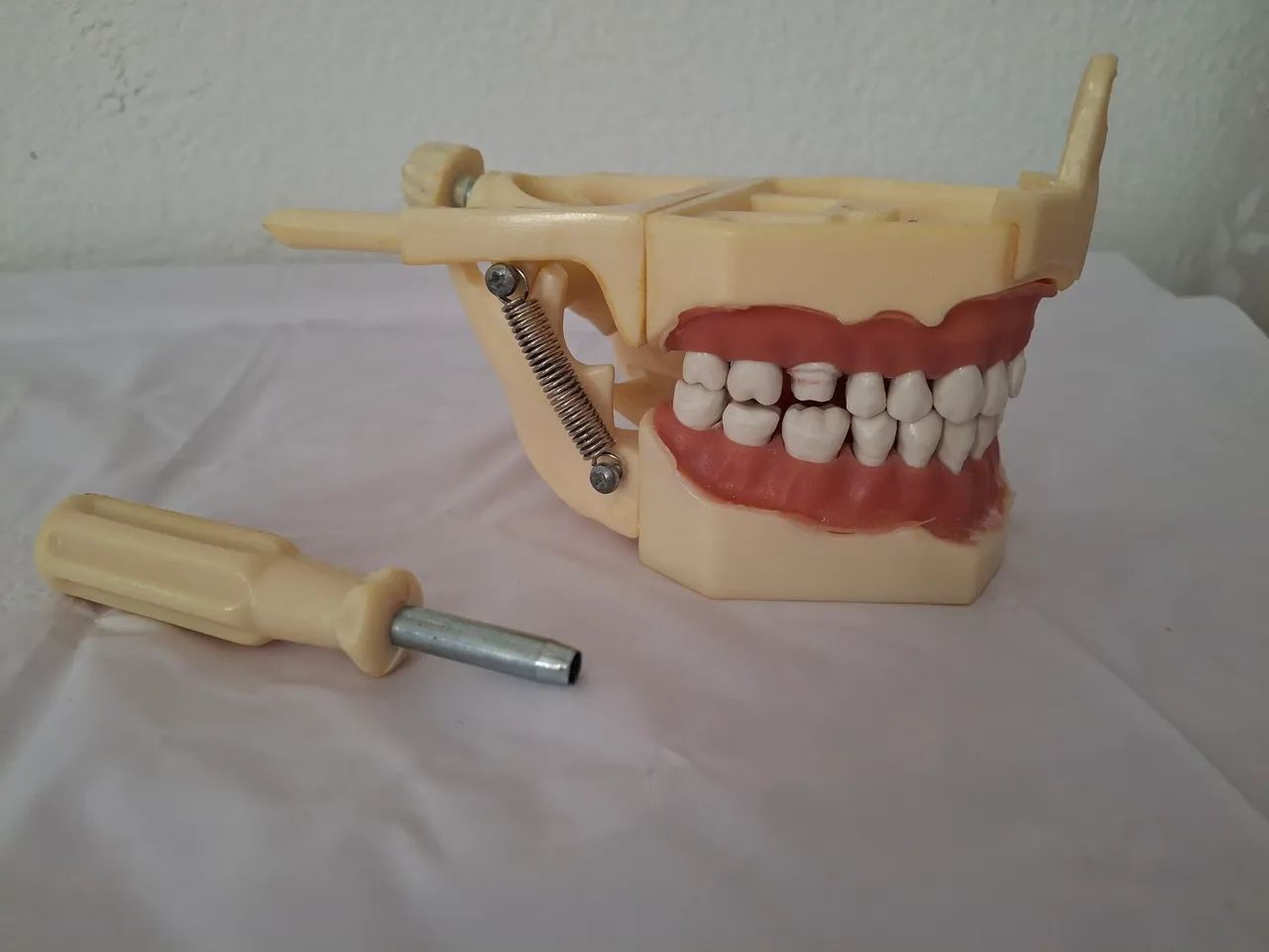 Manequim Odontológico Dent-art para Dentística - Foto 4
