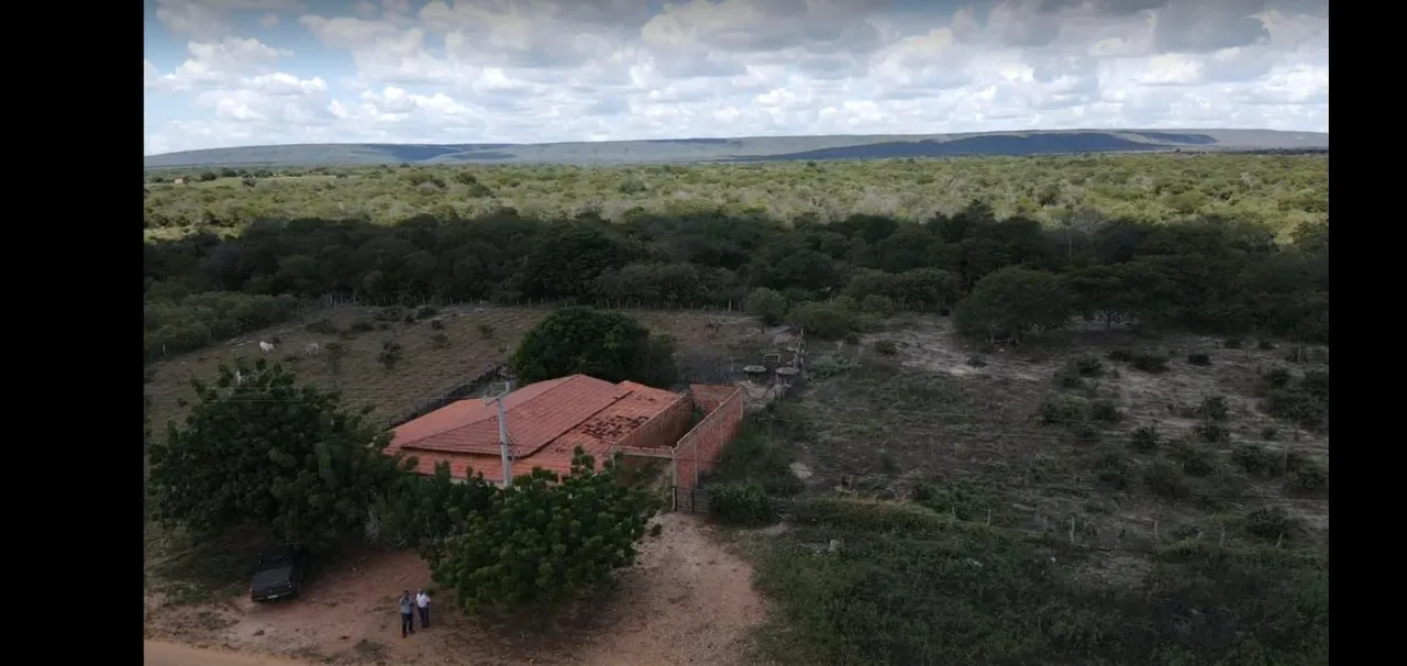 Pilão Arcado BA 460 hectares, Oportunidade!!!