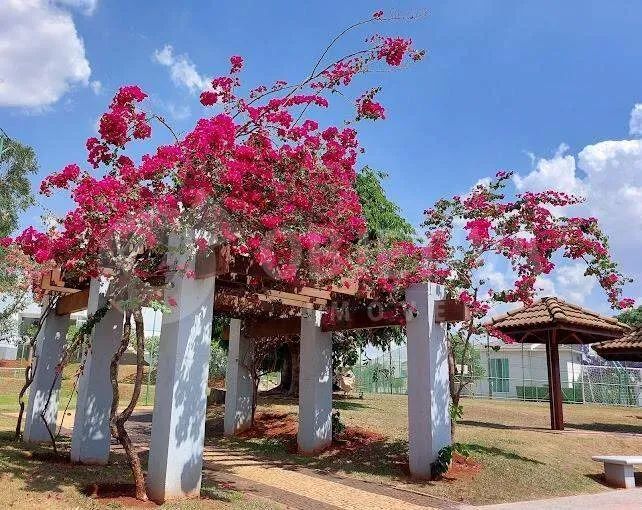 Terreno em Condomínio à venda, Royal Park - UBERLANDIA/MG - Foto 4