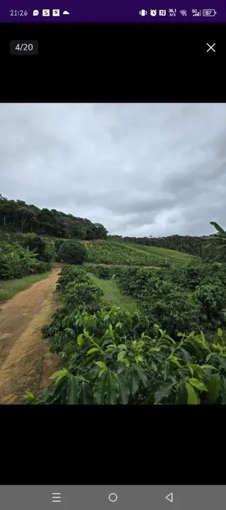 Área Rural, Terra para pasto, plantação Entrada mínima 11 mil + parcelas - Foto 3