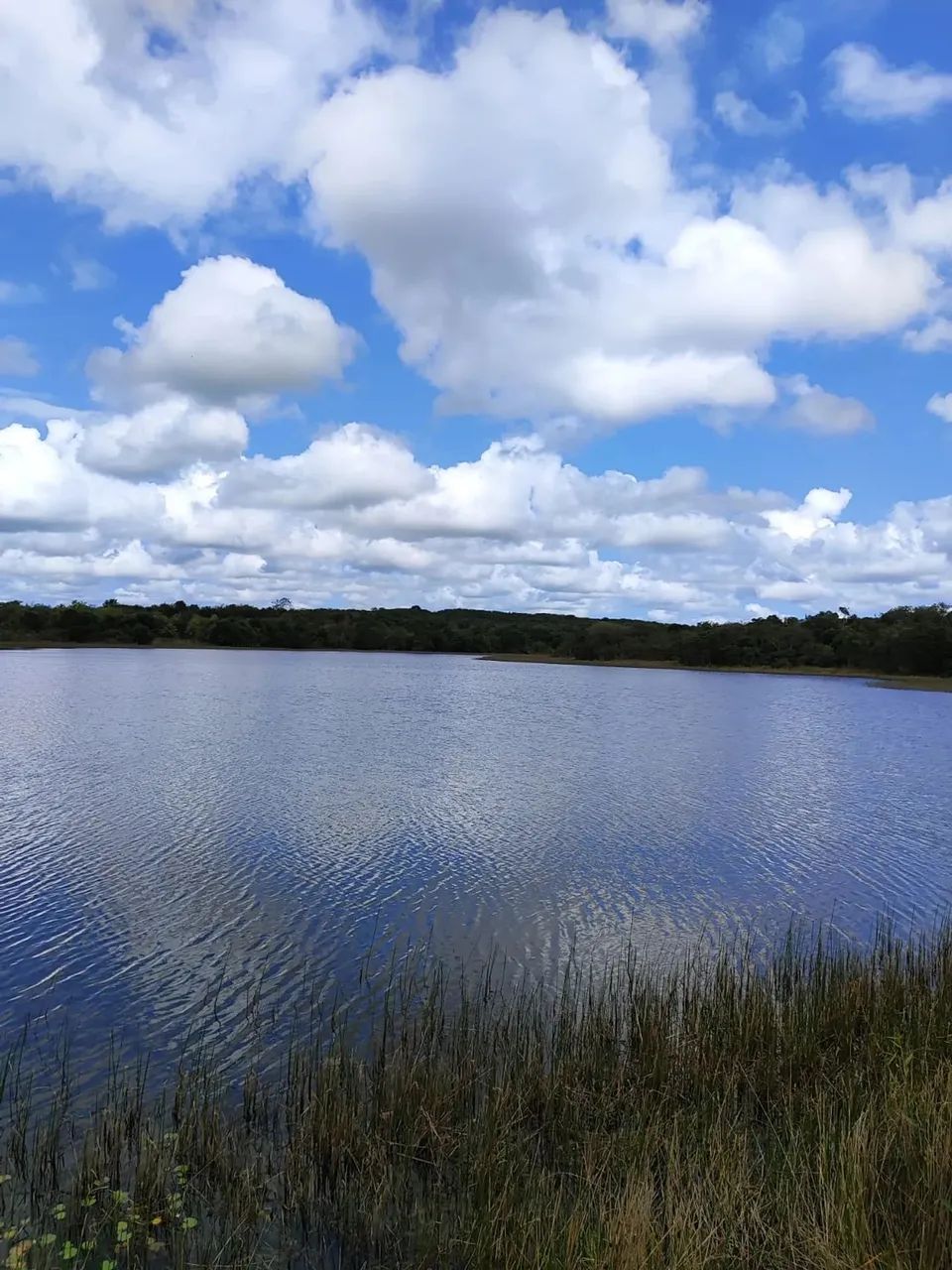 fazenda com 385 hectares próximo a Canguaretama com excelente localização rica em água - Foto 5