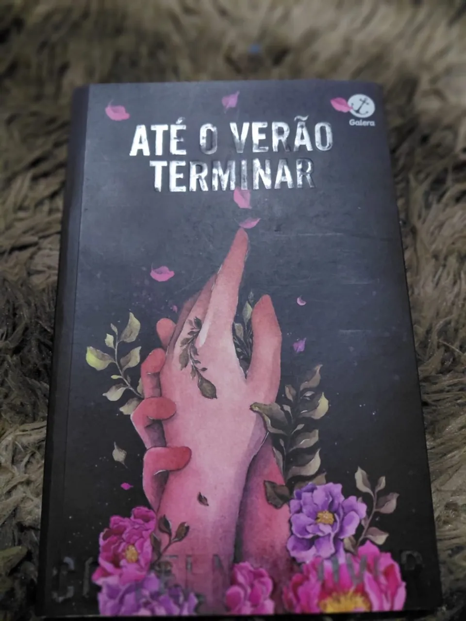 Livro Até o Verão Terminar, entre outros