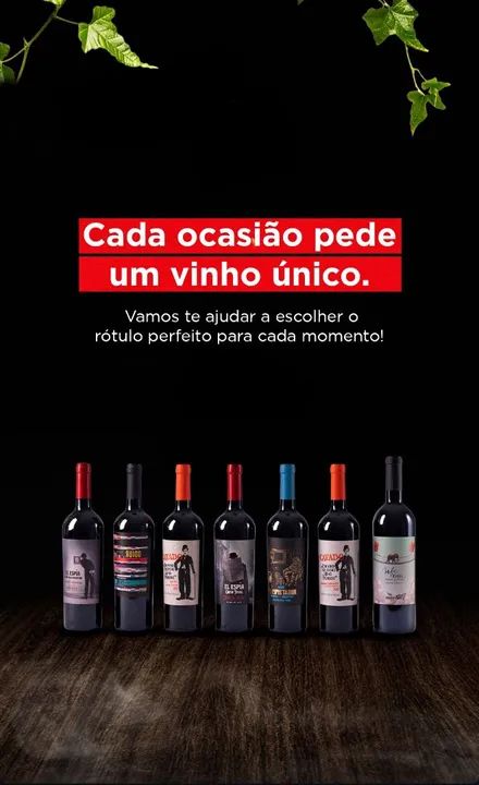 VINHOS TINTO ARGENTINOS 