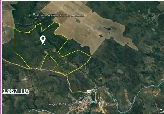 Área bruta para lavoura em Loreto- Maranhão  com 1.957 hectares, argila 40%, 1.100 ha meca