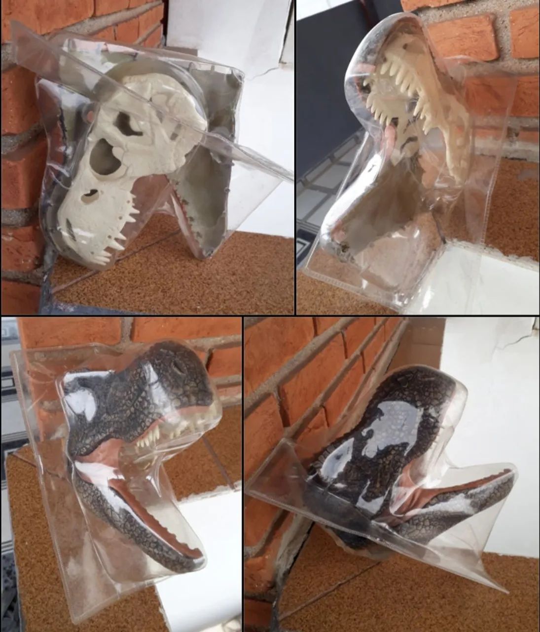 Parte do Crânio fascículo 1 Tiranossauro Rex somente peça da cara crânio (novo lacrado)