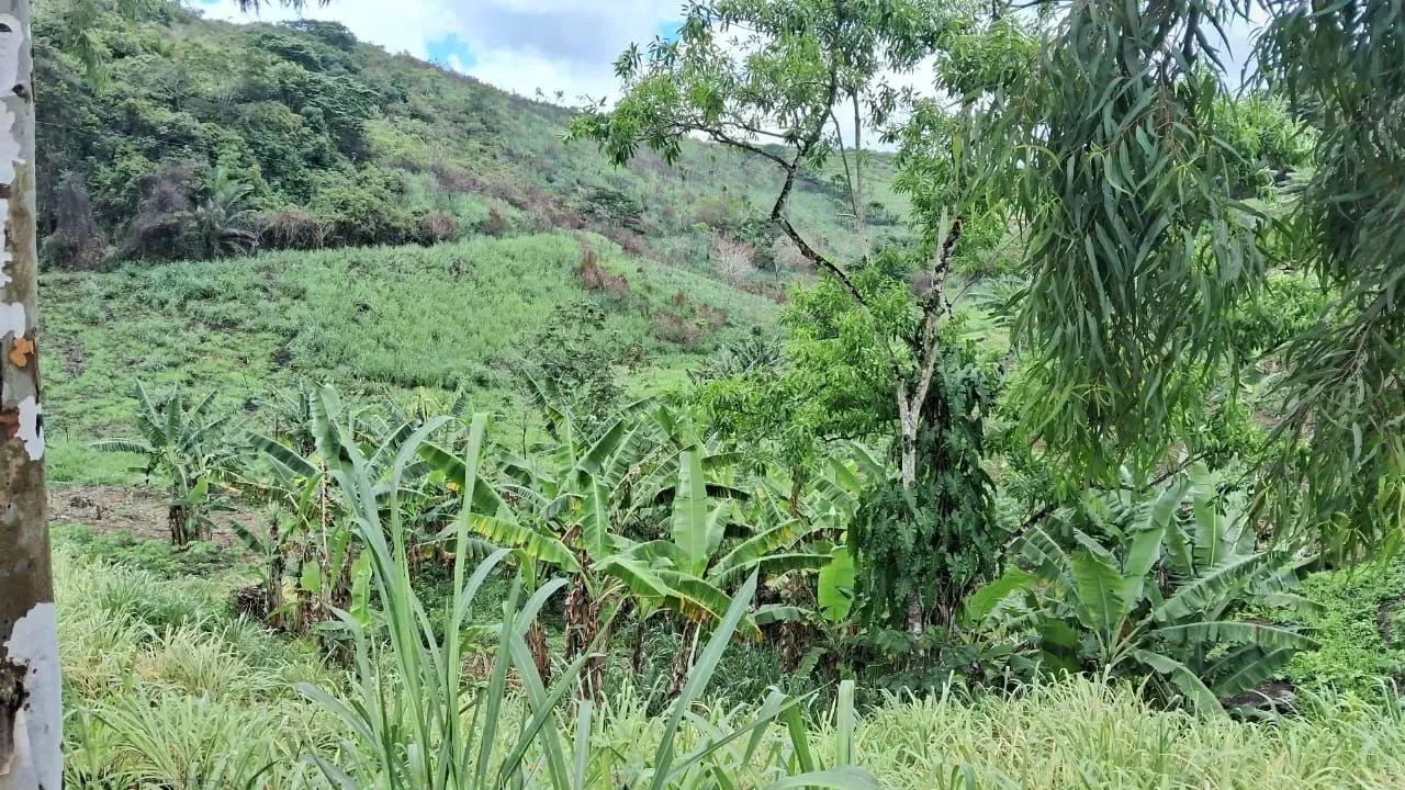 Excelente propriedade em Amaraji-PE - Foto 5