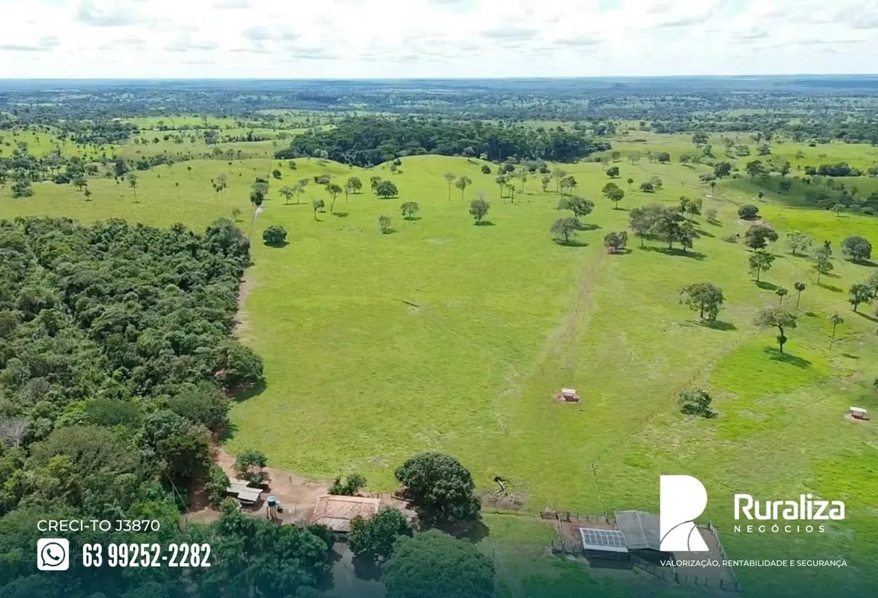Colinas - TO Ideal para quem busca investir em pecuária com praticidade e excelente acesso - Foto 4