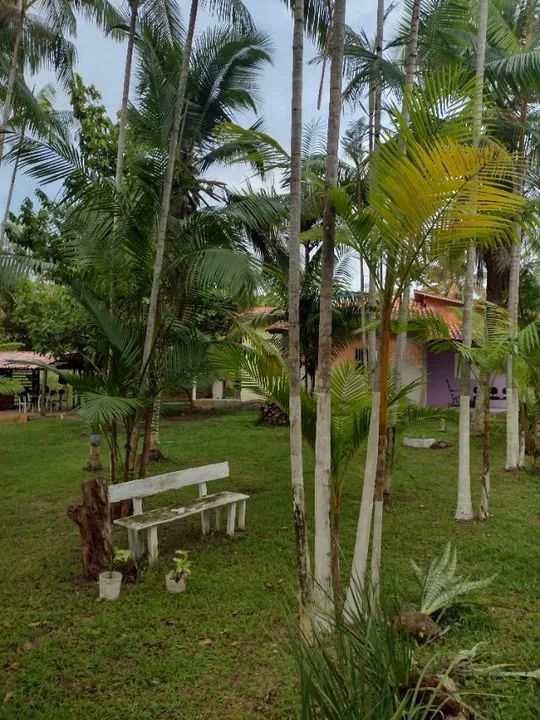 Sítio em Aurora do Pará com 11.000 metros quadrados. - Foto 14