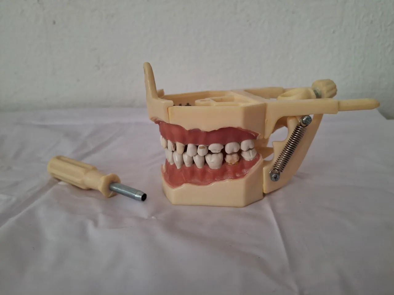 Manequim Odontológico Dent-art para Dentística - Foto 3