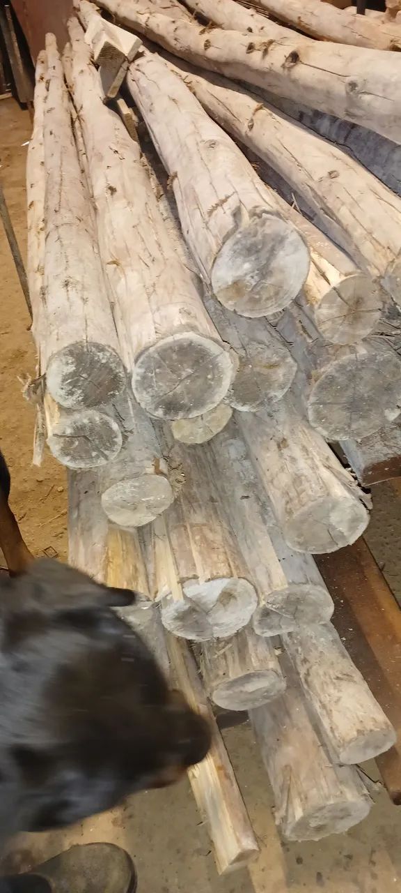 30- PONTALETES DE EUCALIPTO 3,00MTS /// R$ 360,00 ( SÓ RETIRADA NÃO ENTREGAMOS )  - Foto 2