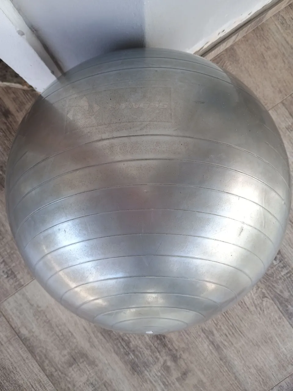 Bola de Exercício Fitness