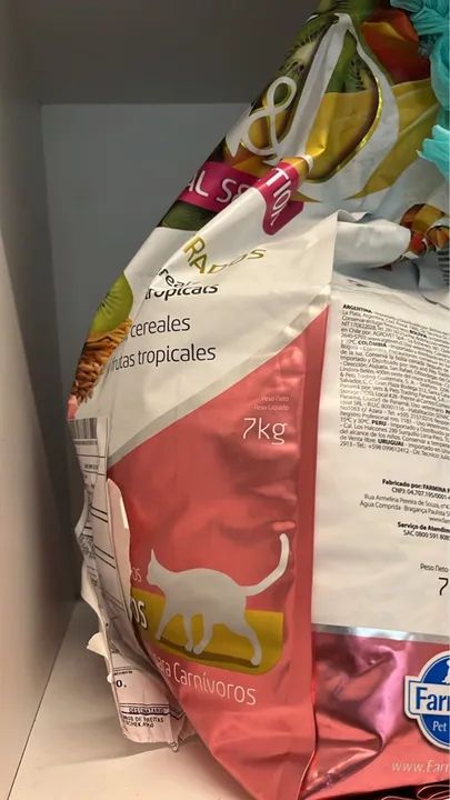 Adoção Responsável Gatas Pantera e Capitu - Foto 5