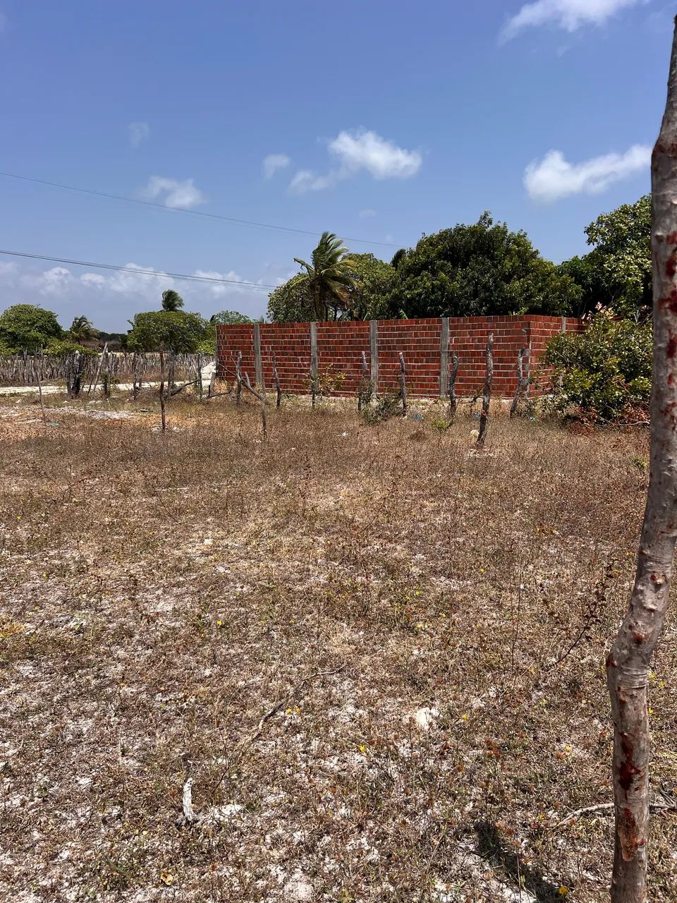 VENDO OU TROCO EM CARRO  TERRENO CENTRO FORTIN -CE  - Foto 3