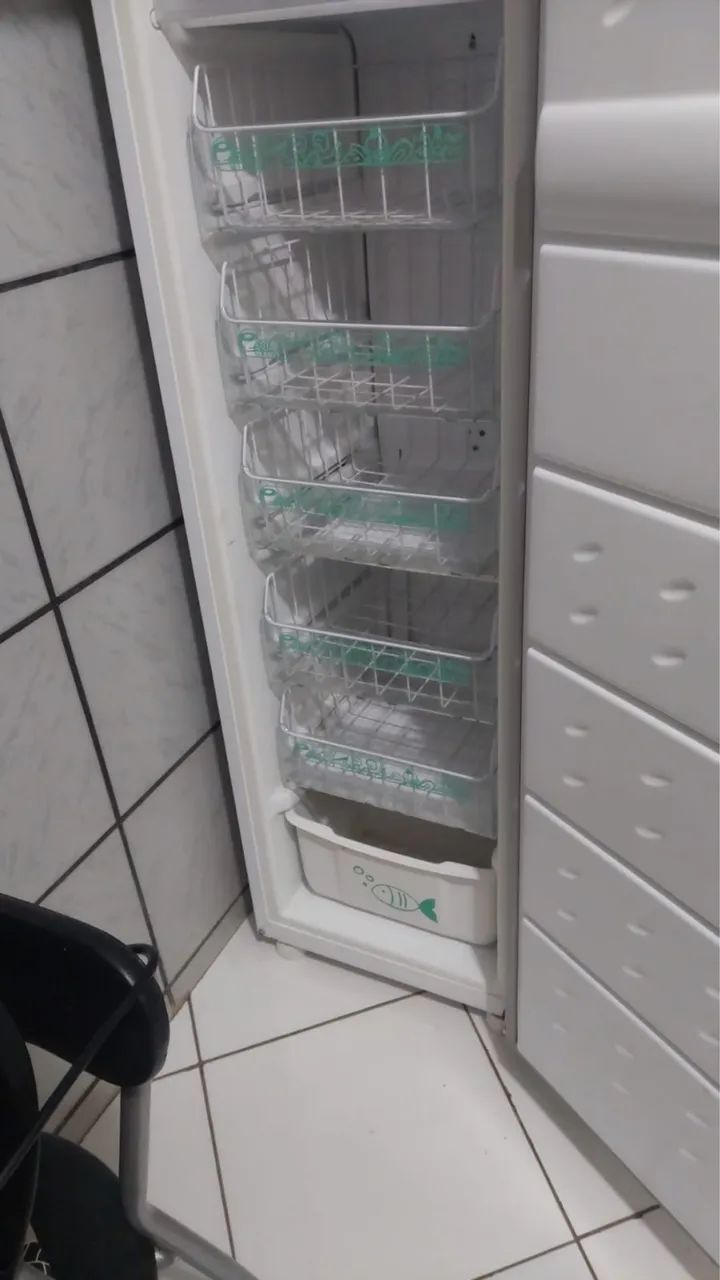 Freezer - Foto 2