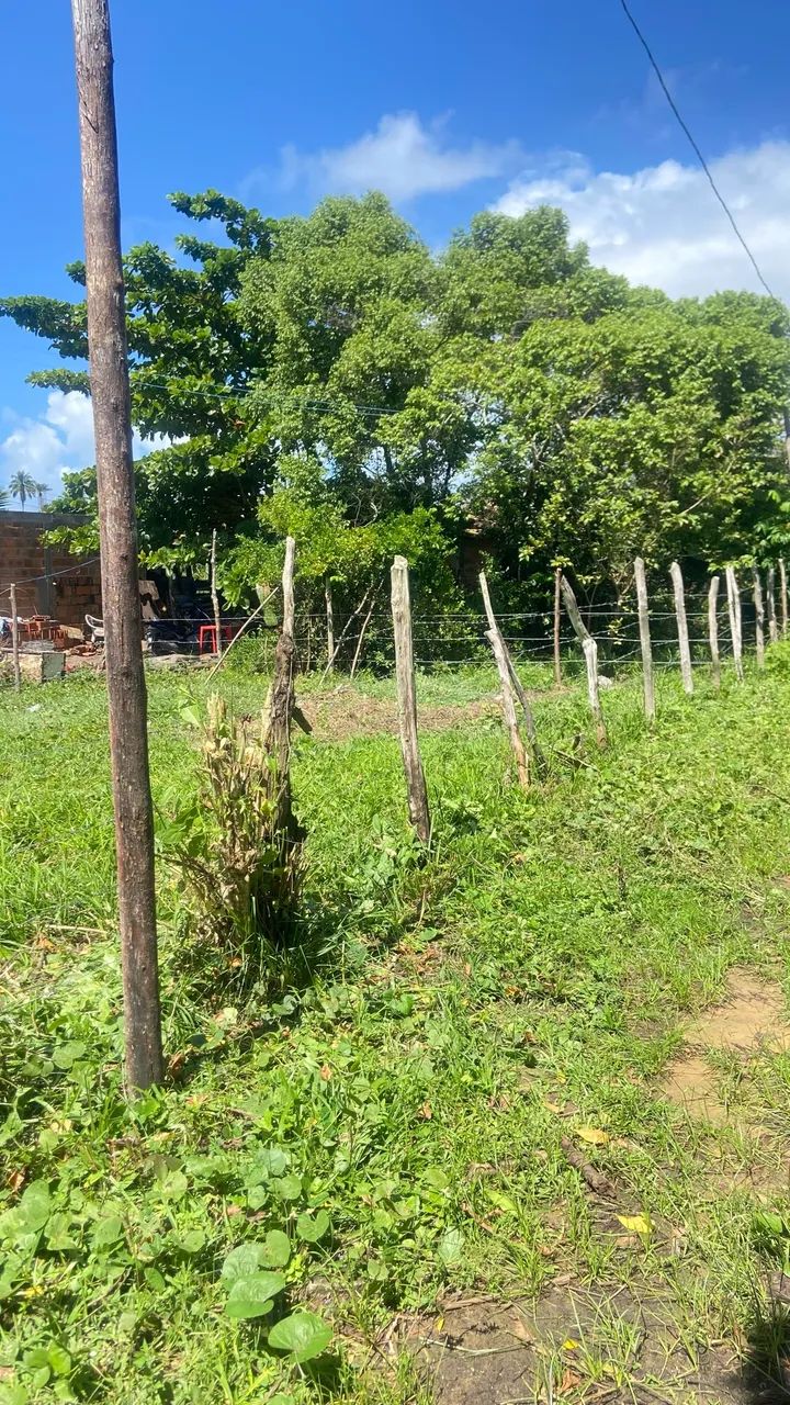 VENDE-SE TERRENO EM SAUBARA  - Foto 4