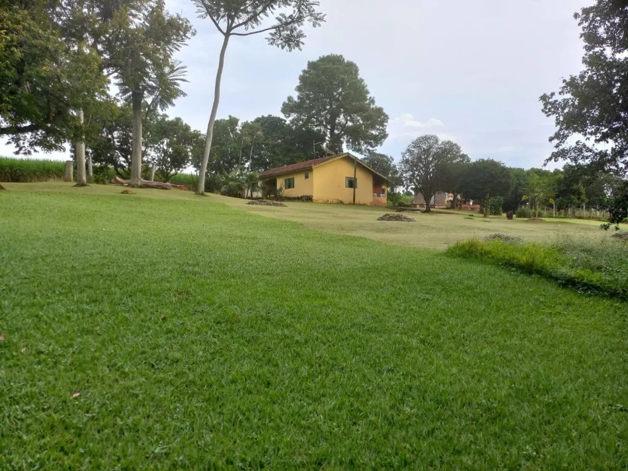 Sítio à venda em Limeira - SP. - Foto 4