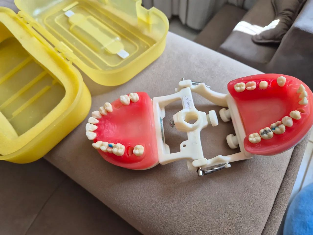 manequim dentística pronew - Foto 2