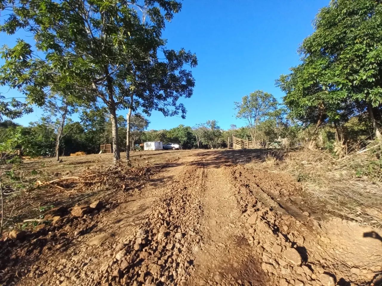 Chácara 3 Hectares  - Foto 4