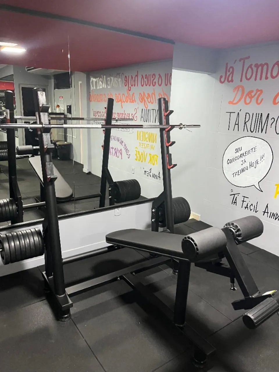                      SUPINO DECLINADO - P LIVRE   - Foto 2