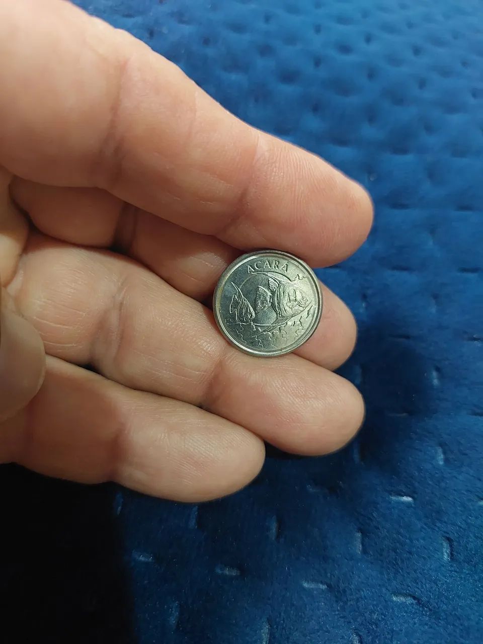 Antiguidade, moedas da fauna brasileira. - Foto 4